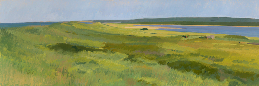 Long Point Summer, 
oil on wood panel, 22 x 66 inches      SOLD