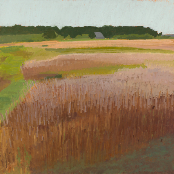 Herring Creek Farm Field no.3.
oil on wood panel, 
  24" x 24"  
SOLD
