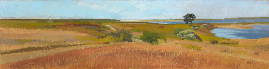 Long Point Late Fall,
 oil on linen, 17" x 66"

SOLD
