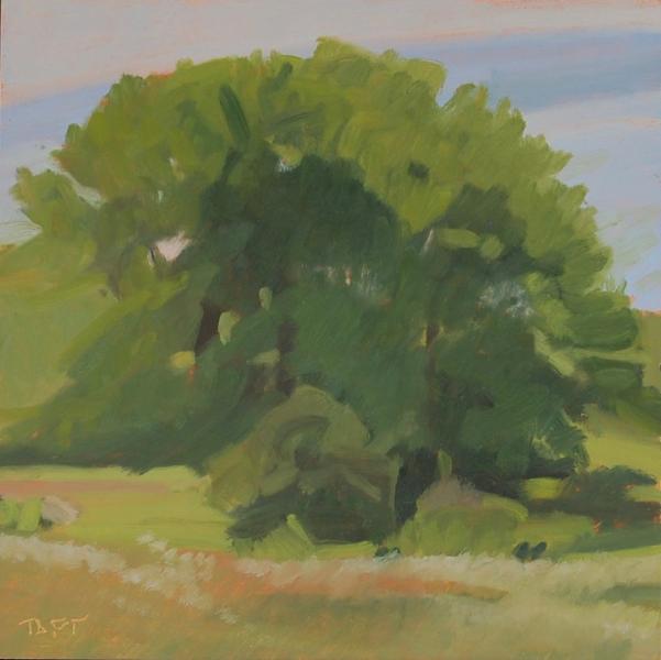 Tree in Flander's Field,  8 x 8 inches,  oil on panel

$725.