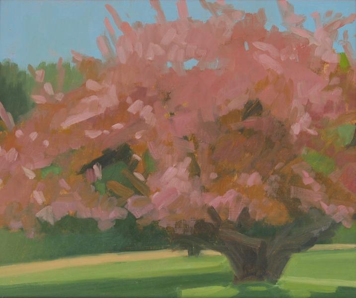 Cherry Tree, 10 x 12 inches, oil on wood panel

SOLD