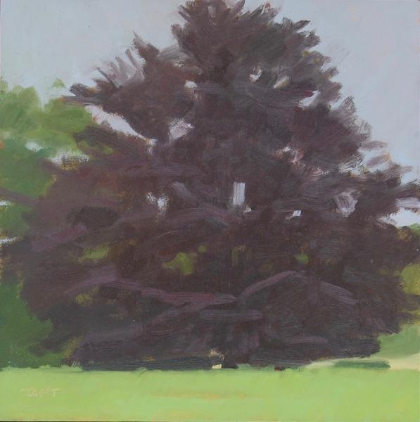 Foggy Day, Cooper Beech, 8 x 8 inches,  oil on wood panel   SOLD