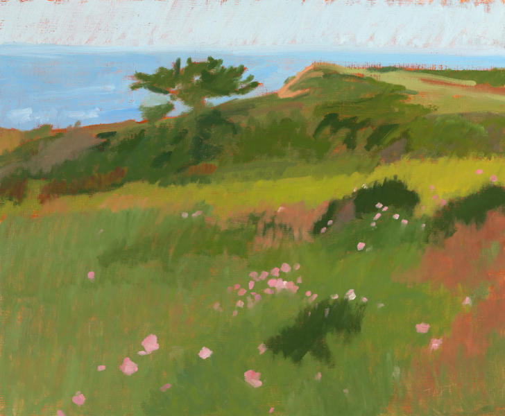 Aquinnah Mallow,
oil on wood panel,
12.75 x 15.75 inches

On Hold
