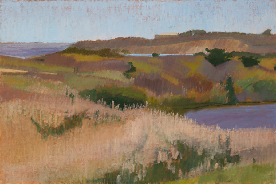 Squibnocket Fall, oil on linen,  24 x 36 inches, 

$6,000